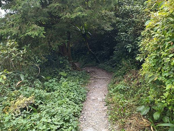 IMG_20220919_120728.jpg