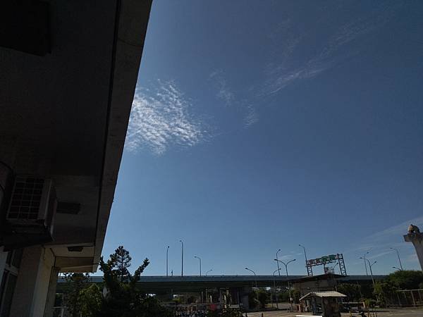 IMG_20221126_134014.jpg