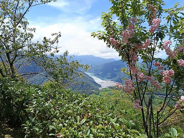 LINE_ALBUM_2024埔里清境日月潭_240904_52.jpg