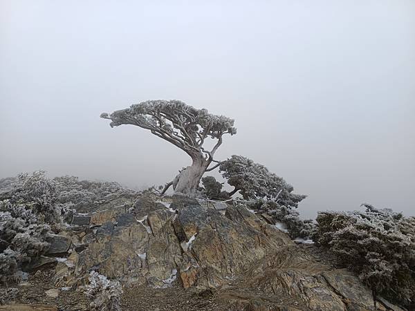 20250320冰雪世界撤退
