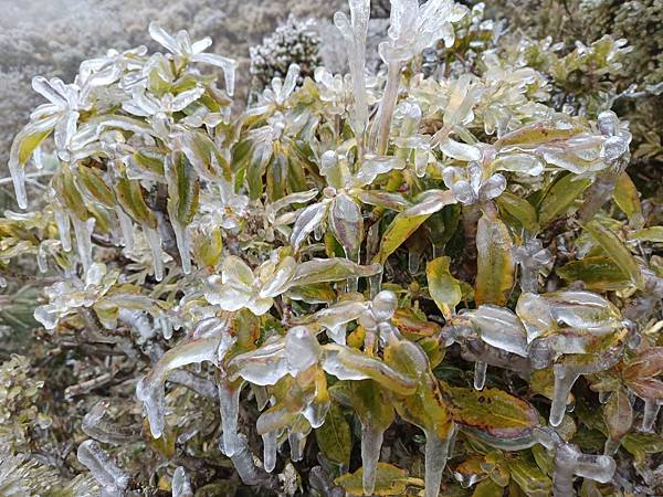 20250320冰雪世界撤退