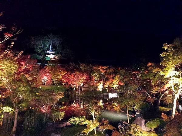 IMG_20181115_190802.jpg