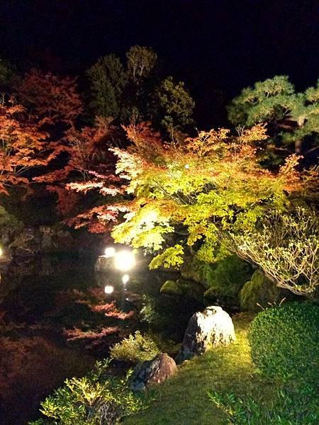 IMG_20181115_195656.jpg