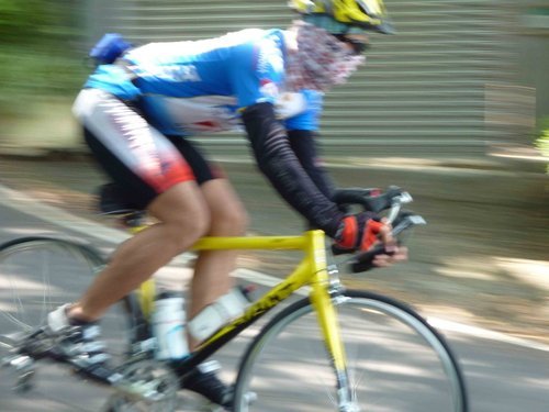 ap_F23_20100816083149371.jpg