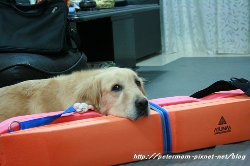 nEO_IMG_IMG_7383.jpg
