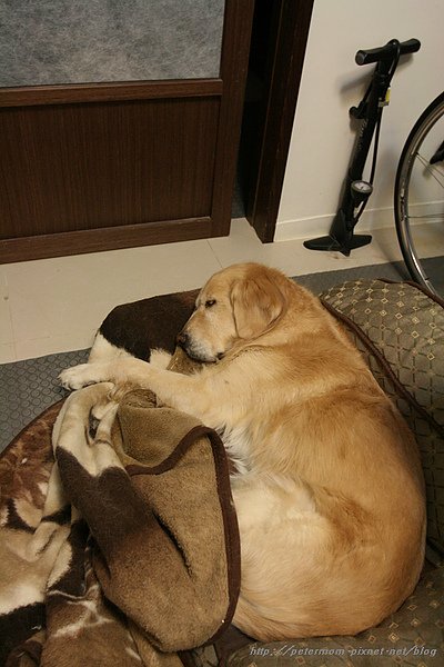 nEO_IMG_IMG_8452.jpg