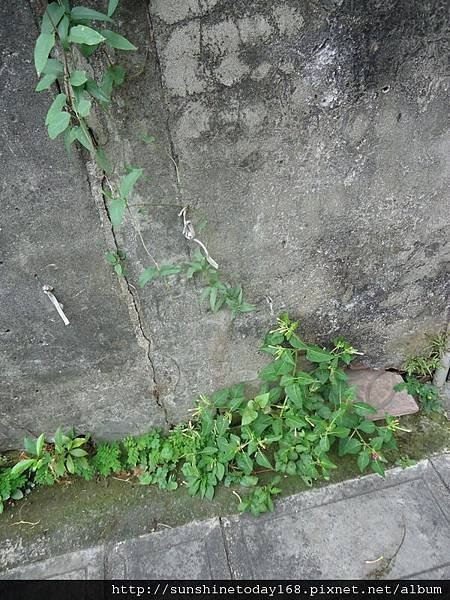 DSC09929.JPG