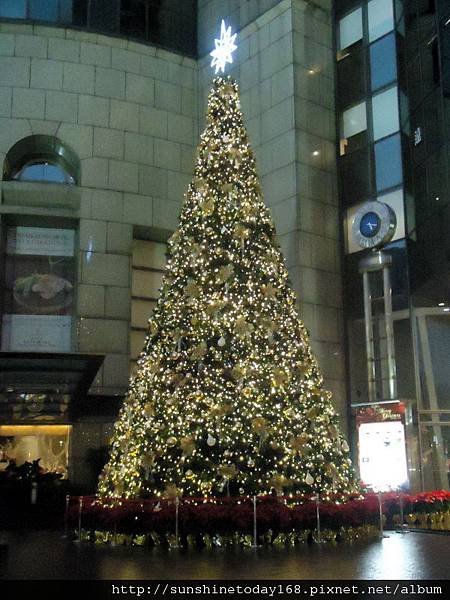 2011.12.10 台北遠企飯店耶誕樹與周邊街景11.JPG