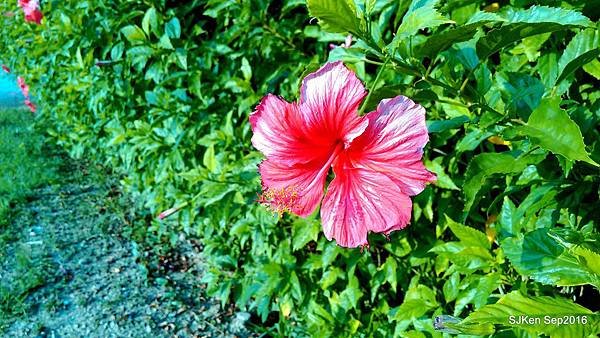 35-P_20160904_164729.jpg