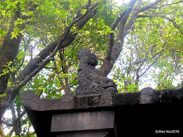11-DSCN6954.JPG