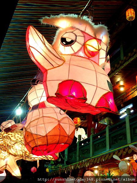 DSC05278.JPG