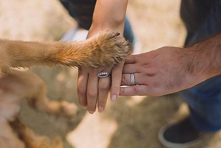 two-person-with-rings-on-ring-fingers-792775.jpg