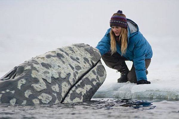 Big Miracle2