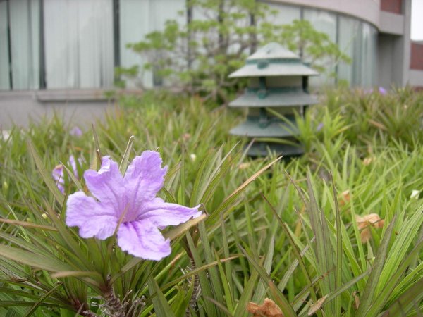 藝術中心內景觀3