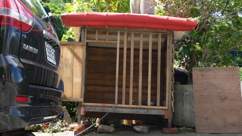 20090903 021.jpg