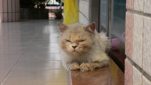 20090903 024.jpg