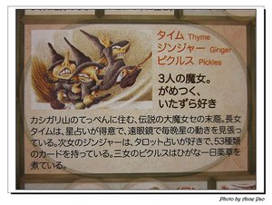 IMG_2973.jpg