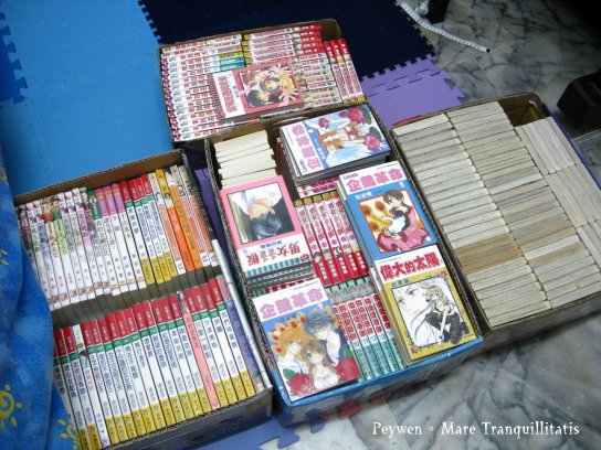 20080907收納箱完成 008-1.jpg