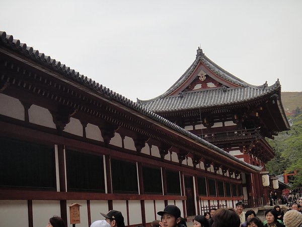 京都賞楓00017.JPG