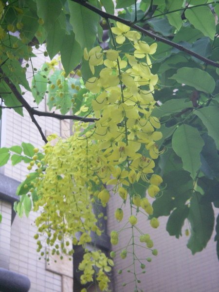 IMGP6001.JPG