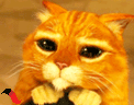 th_1.gif