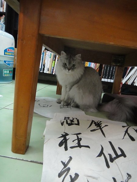 手殘書法趴00003_調整大小.JPG