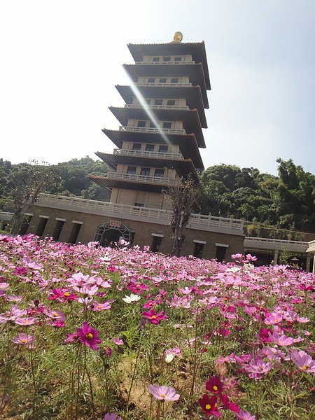 DSC01596_調整大小.JPG