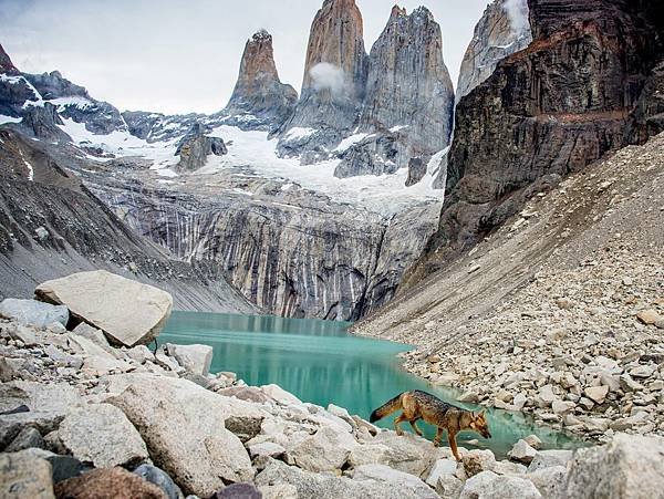 torres-paine-chile-fox_88870_990x742