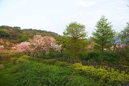 20150405_三芝_Canon_ 118
