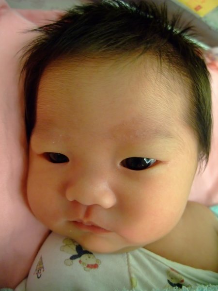 DSCF8979.jpg