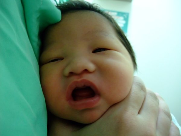 DSCF8783.jpg
