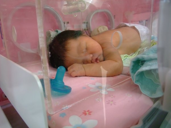 DSCF8580.jpg