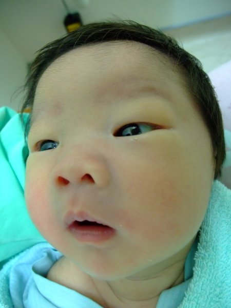DSCF8822.jpg