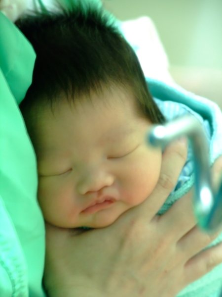 DSCF8903.jpg