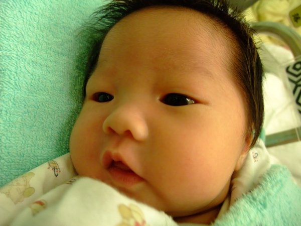 DSCF9024.jpg