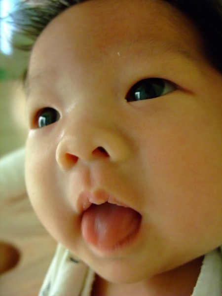 DSCF9158.jpg