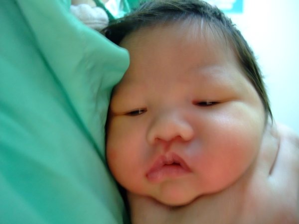 DSCF8771.jpg