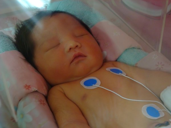 DSCF8560.jpg