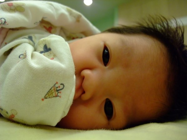 DSCF9054.jpg
