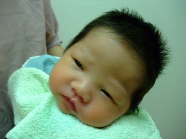DSCF8747.jpg