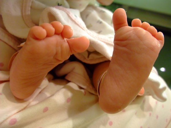 DSCF9164.jpg