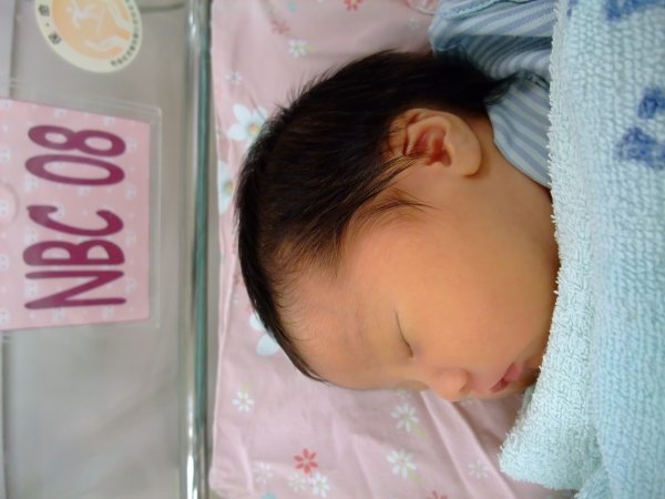 DSCF8669.jpg