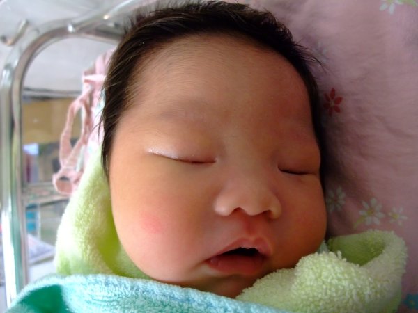 DSCF8798.jpg