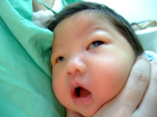 DSCF8781.jpg