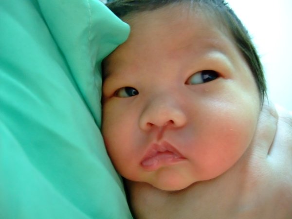 DSCF8769.jpg