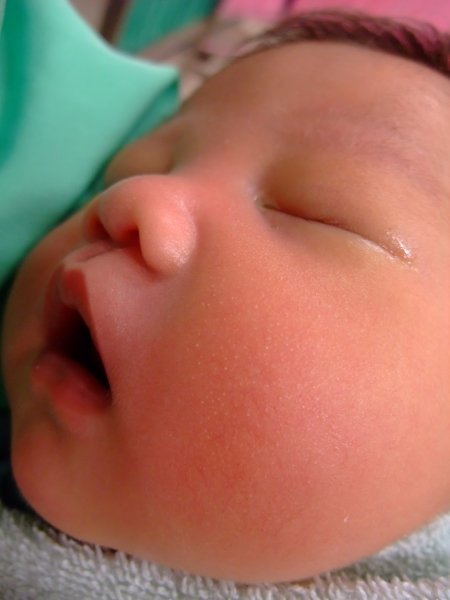 DSCF8733.jpg