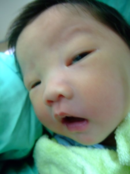 DSCF8788.jpg