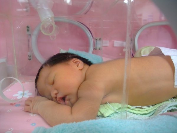 DSCF8583.jpg