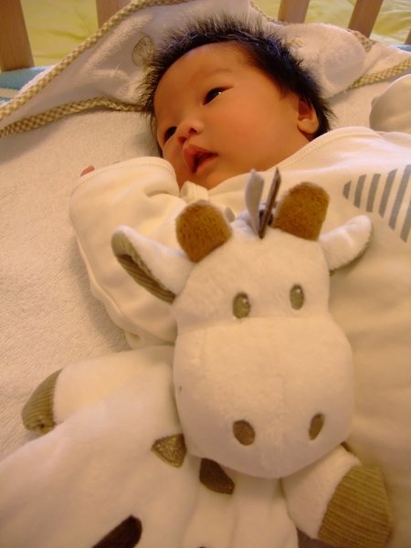 DSCF9232.jpg