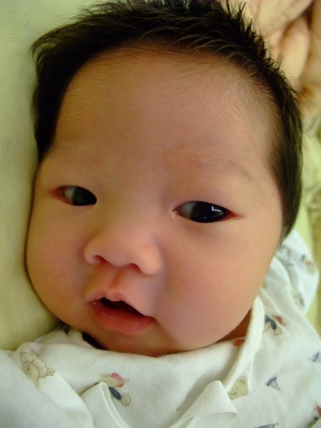 DSCF9077.jpg